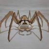 Incredibuilds Harry Potter: Aragog Deluxe book and model set - Image 3