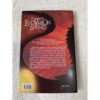 O Enigma de Endymion Spring - Image 2