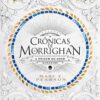 Crônicas de Morrighan - A Origem do Amor